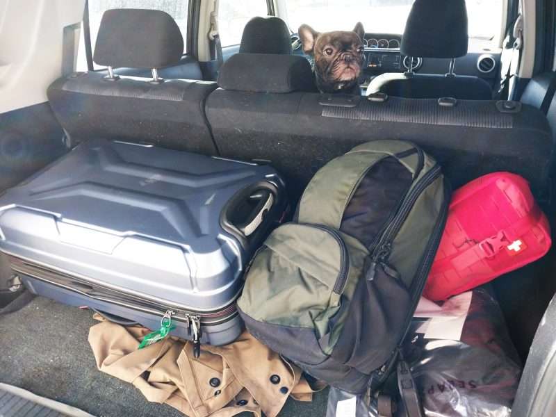 suitcase, Vertx backpack, and MyMedic IFAK packed up in rear of vehicle, ready for SHOT Show