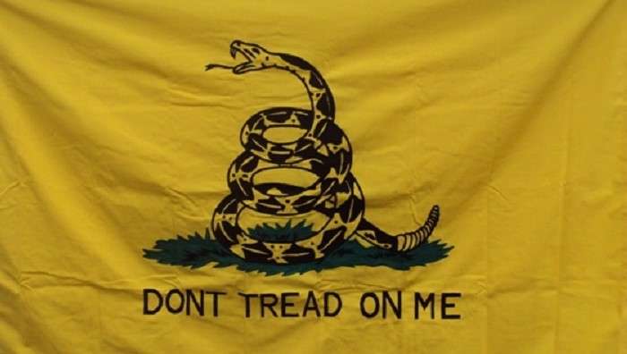the original gadsden flag, from which the no step on snek flag is derived. 