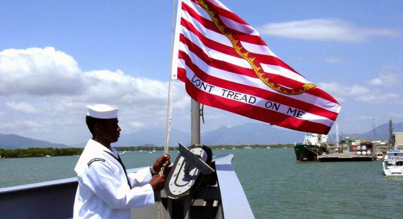 The First Navy Jack is another version of the Don't Tread on Me flag. 