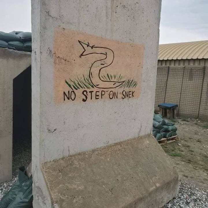 It's not a no step on snek flag per se, but a painted mural on a concrete barrier overseas serves just as well! 