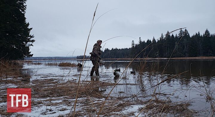fudd friday guns for small game hunting in 2026, The same goes for waterfowling Duck hunters are shooting small animals but typically spend big money to do so using specialized gear That is not usually the case with small game hunters Zac K