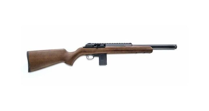 new rimfire lookalike chiappa m1 bushranger