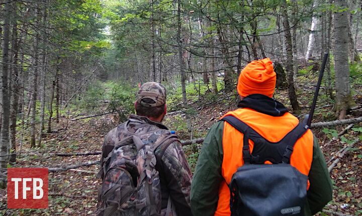 fudd friday guns for small game hunting in 2026, Most small game hunting in the northeast where I live involves tramping around the woods looking for unlucky snowshoe hares or grouse Zac K