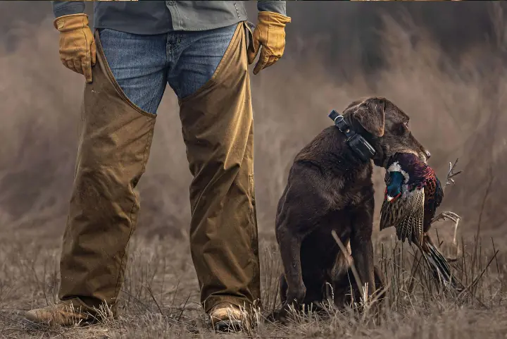 kent loads up with waterfowl and pheasant shells and rebates