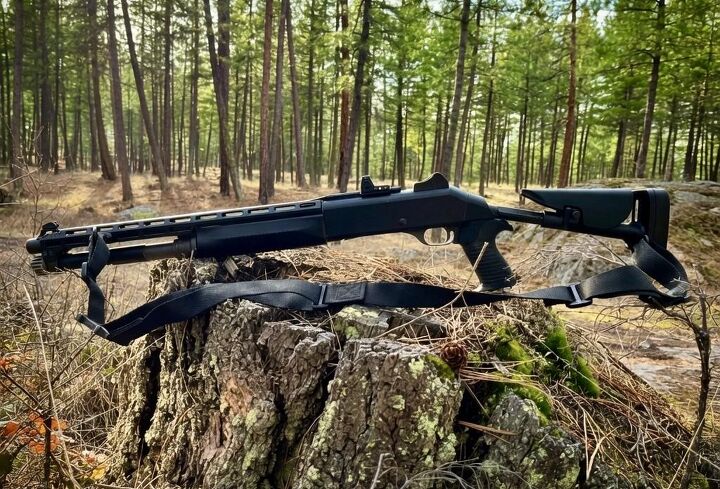 small business spotlight rx arms