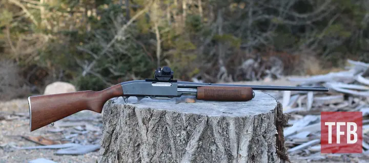 fudd friday the brush busting question, Old fashioned calibers like the 270 fared much better in Sell s testing than their modern poo pooers might think Zac K