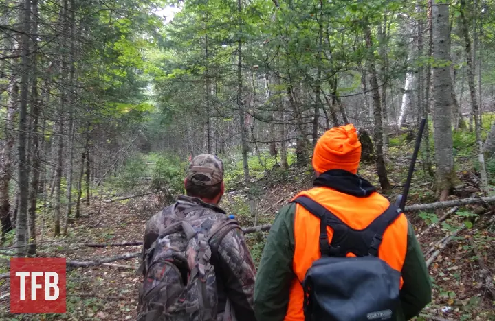 fudd friday the brush busting question, Moose hunting in the northeast packing a 7mm Magnum