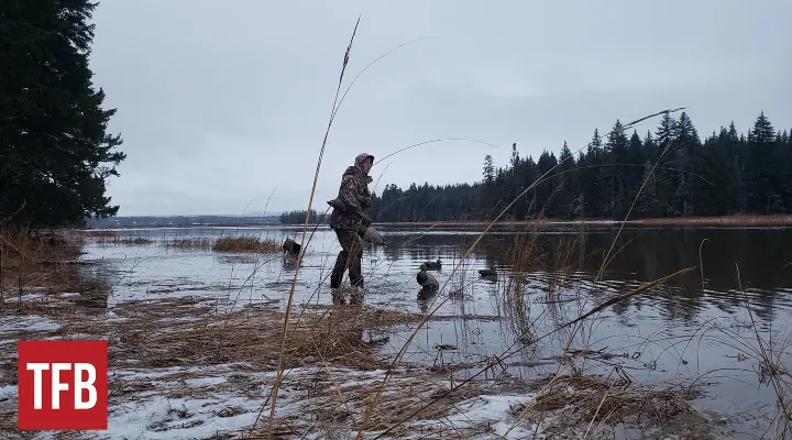 fudds ahoy b p dual steel waterfowl shells rebate, In a situation like this where you need close in coverage but long range punishing power a duplex load makes sense Zac K