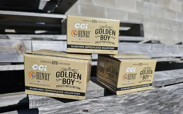 now shipping ccis golden boy collectors edition 22 lr bulk box